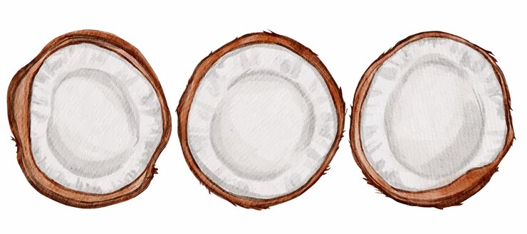 Vector icono de conjunto de dibujos animados aislados de coco. coco de ilustración vectorial sobre fondo blanco.