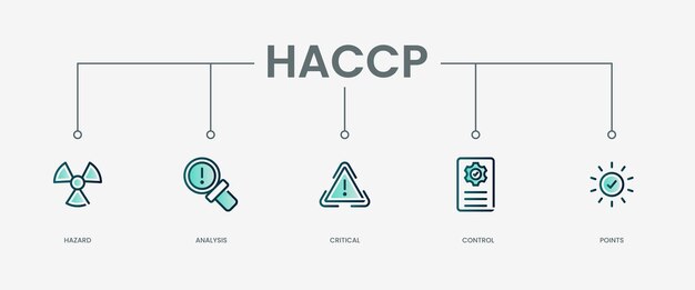 Icono del conjunto HACCP con concepto verde moderno
