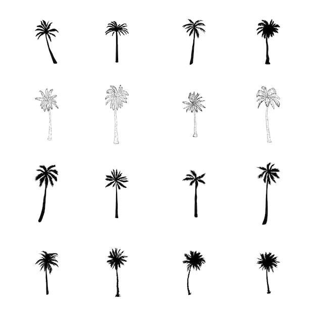 Icono del conjunto de palmeras de coco en estilo vectorizado dibujado a mano