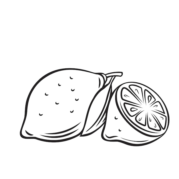 Icono de contorno de fruta de limón, dibujo monocromo ilustración. Nutrición saludable, comida orgánica, producto vegetariano.