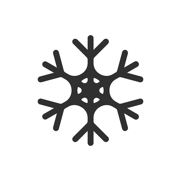 El icono del copo de nieve es el símbolo del invierno.