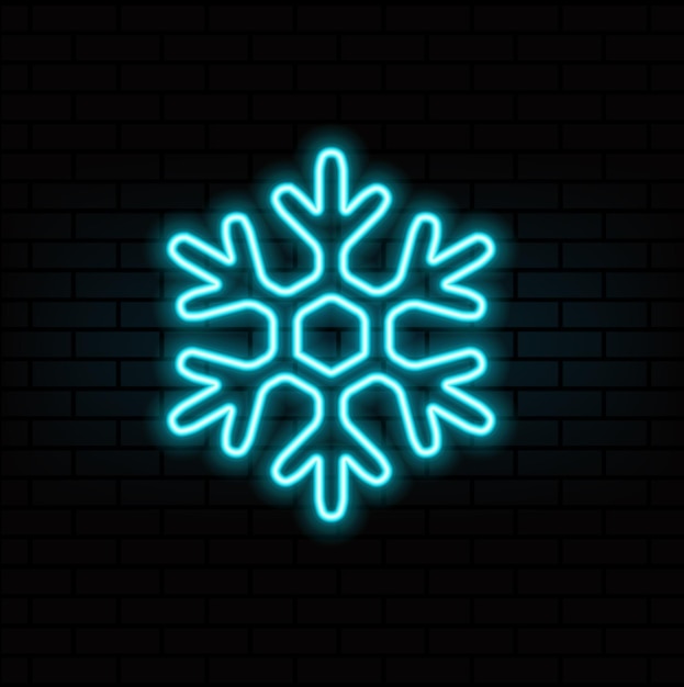 El icono del copo de nieve de neón con contorno El signo del caparazón de neón brillante Pictograma de nieve en colores vivos Cristal de hielo f