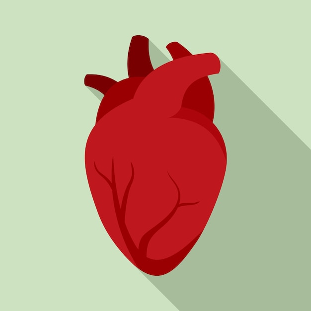 Icono de corazón humano de órgano Ilustración plana del icono de vector de corazón humano de órgano para diseño web