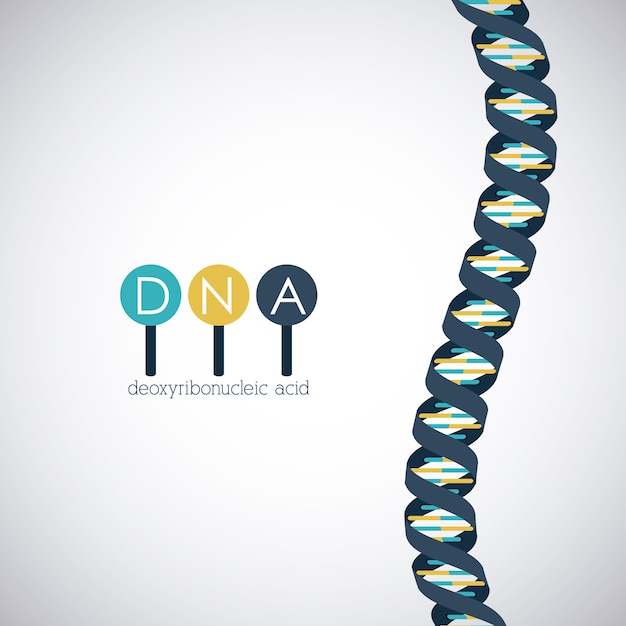 Icono de cromosoma de estructura de ADN