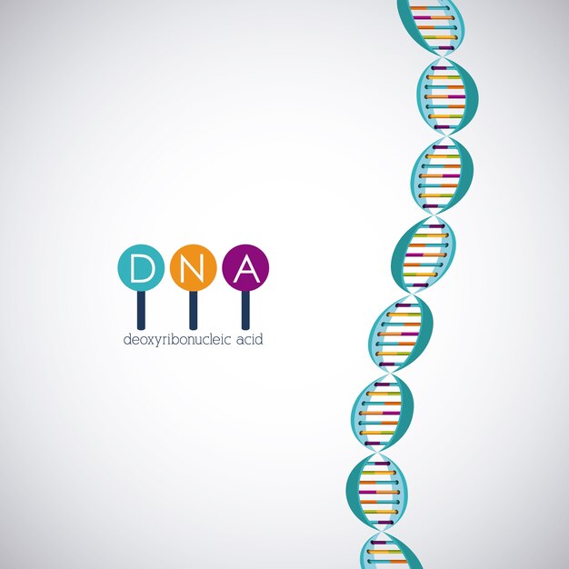 Icono de cromosoma de estructura de ADN