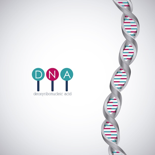 Vector icono de cromosoma de estructura de adn