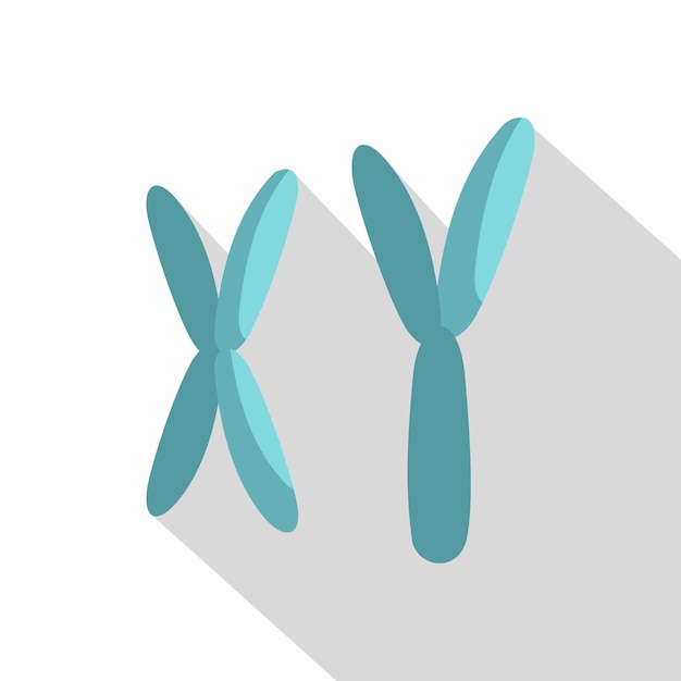 Icono de cromosomas X e Y Ilustración plana del icono de vector de cromosomas X e Y para web sobre fondo blanco
