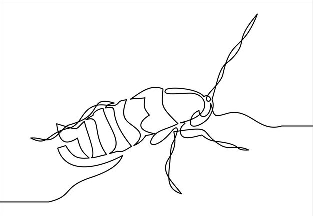 icono de cucaracha dibujo vectorial de línea continua