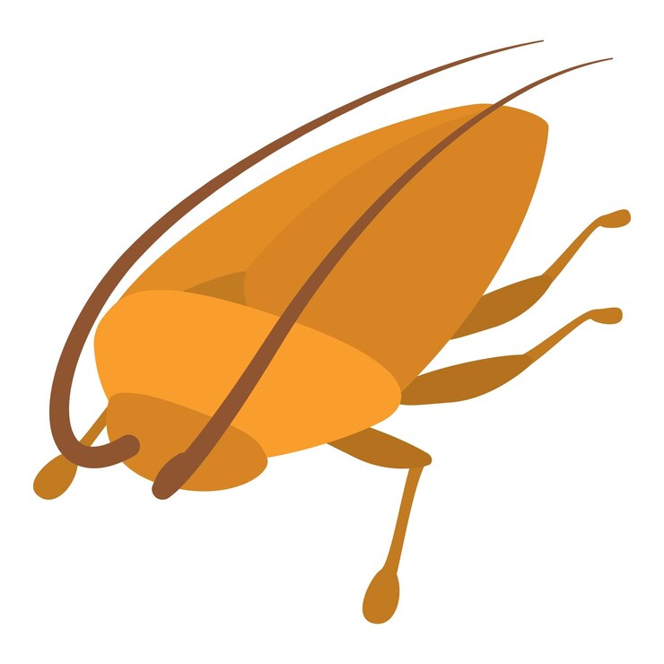 Vector icono de cucaracha ilustración de dibujos animados de icono de vector de cucaracha para web