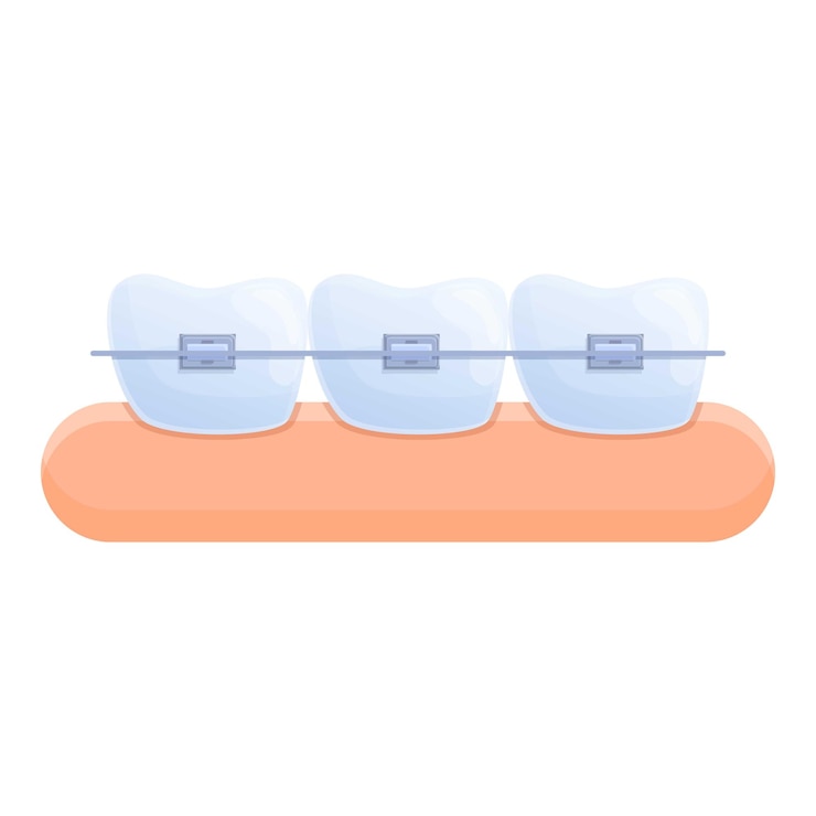 Vector icono de cuidado de aparatos dentales caricatura de icono de vector de cuidado de aparatos dentales para diseño web aislado sobre fondo blanco