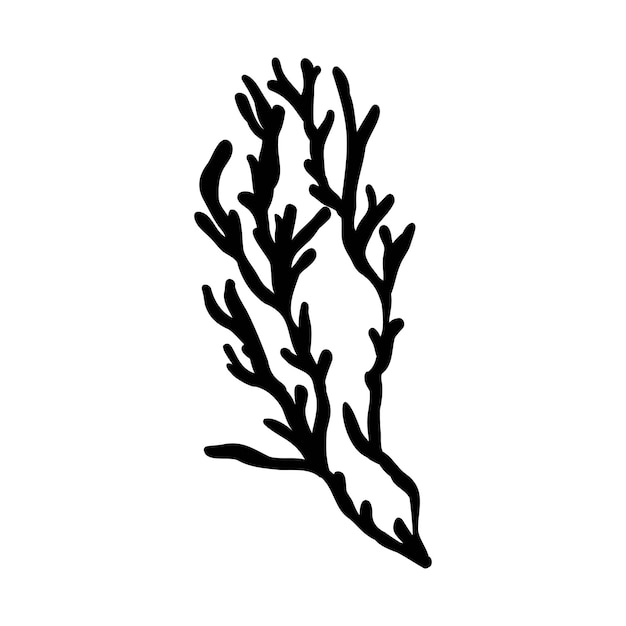 El icono de dibujo de las algas marinas de la laminaria espirulina