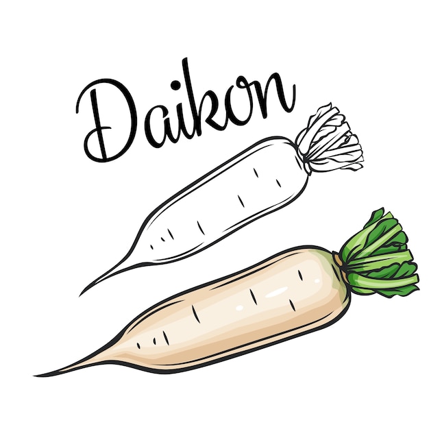 Icono de dibujo daikon vegetal en estilo retro