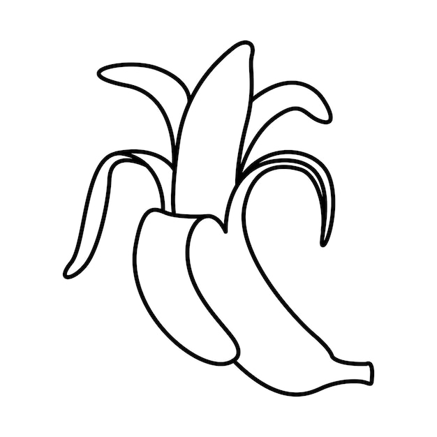 Icono de dibujo lineal de plátano Icono lineal de fruta de plátana Esbozo para colorear