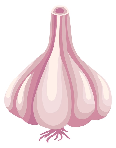 Icono de dibujos animados de bulbo de ajo Verduras crudas frescas aisladas sobre fondo blanco