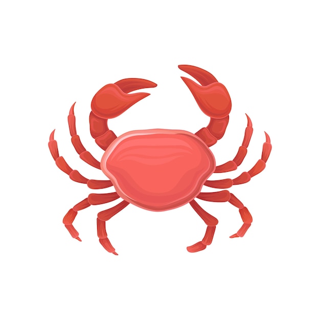 Icono de dibujos animados con cangrejo rojo alimentación saludable diseño de productos marinos para el logotipo del menú del restaurante folleto de carteles promocionales o embalaje del producto icono de vector plano