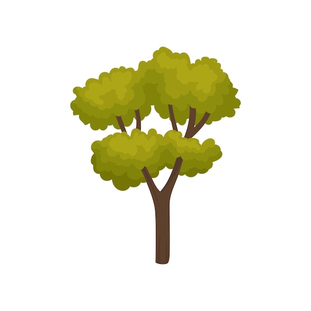 Icono de dibujos animados de un gran árbol de otoño con muchas ramas y follaje verde brillante Planta forestal Elemento de paisaje natural Diseño vectorial para juego móvil Ilustración plana aislada sobre fondo blanco