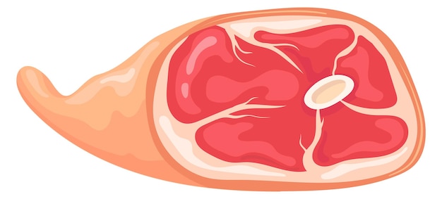 Vector icono de dibujos animados de jamón crudo carne de pierna de cerdo