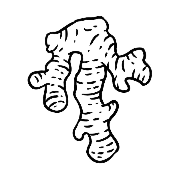 Icono de dibujos animados de raíz de jengibre Imagen de estilo cómico de esquema de comida de cosecha Ilustración de lineart aislada dibujada a mano para impresiones, diseños, tarjetas, imágenes prediseñadas web y móviles