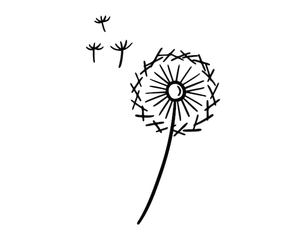 Icono de diente de león dibujado a mano dibujando el contorno de la línea de la flor de diante de león vector de símbolo de clipart