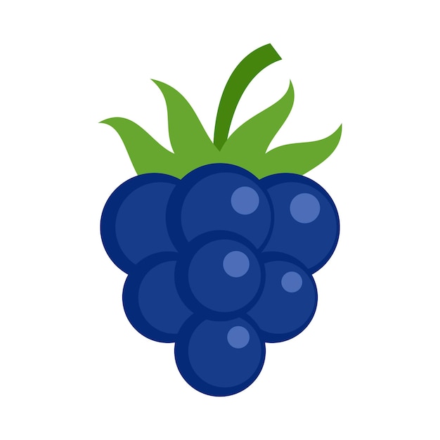Icono de dieta blackberry Ilustración plana del icono de vector de dieta blackberry aislado sobre fondo blanco