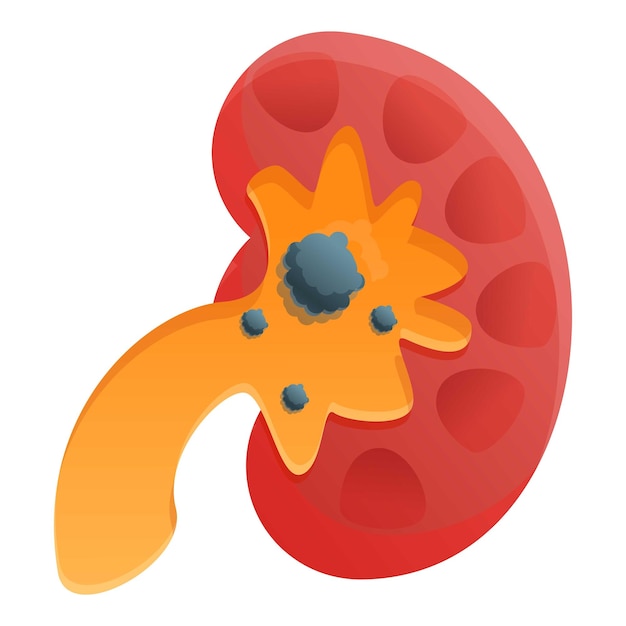 Icono de dolor en el riñón Icono vectorial de dolor en los riñones para el diseño web aislado en fondo blanco
