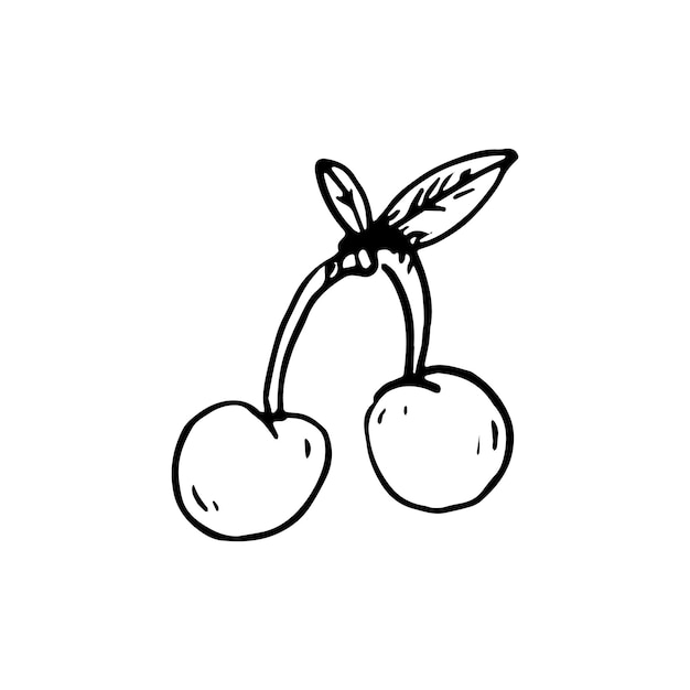 Icono de doodle de cereza dibujado a mano. Boceto negro dibujado a mano. Símbolo de signo. Elemento de decoración. Fondo blanco. Aislado. Diseño plano. Ilustración vectorial.