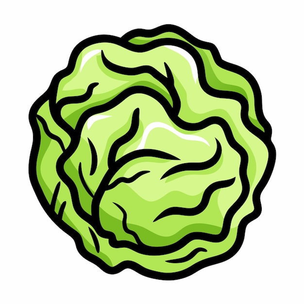 Icono de Doodle dibujado a mano de repollo en un fondo blanco aislado 12