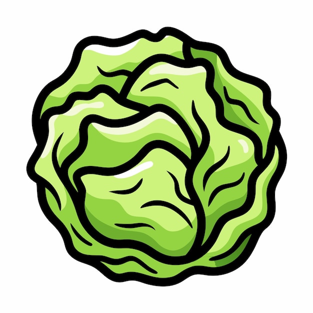 Icono de Doodle dibujado a mano de repollo en un fondo blanco aislado 8
