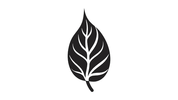 icono eco ilustración vectorial de hoja negra aislada sobre fondo blanco