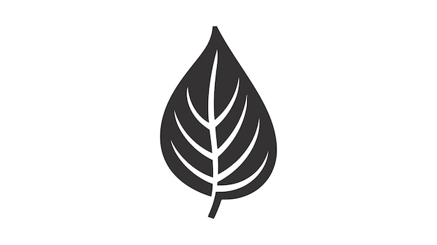 icono eco ilustración vectorial de hoja negra aislada sobre fondo blanco