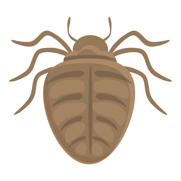 Icono de error vector de dibujos animados insecto escarabajo lindo error