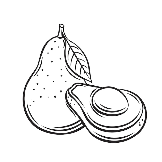 Icono de esbozo de fruta de aguacate, dibujo monocromo ilustración. nutrición saludable, comida orgánica, producto vegetariano.