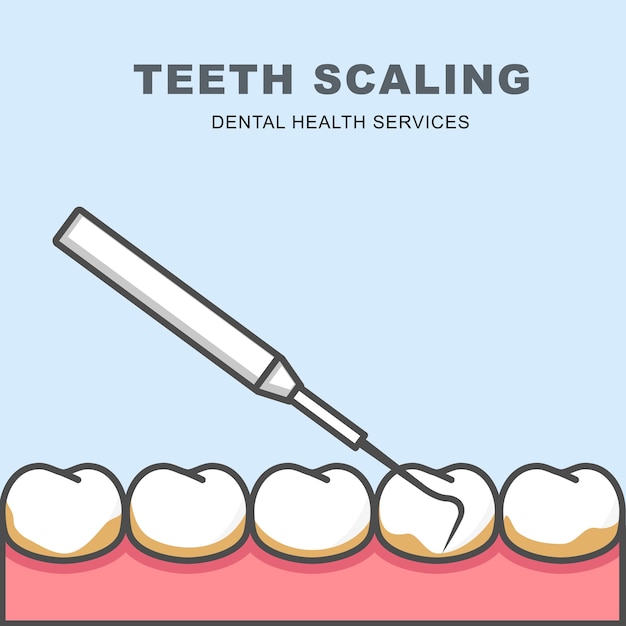 Icono de escala de dientes: fila de dientes, limpieza con sonda periodontal