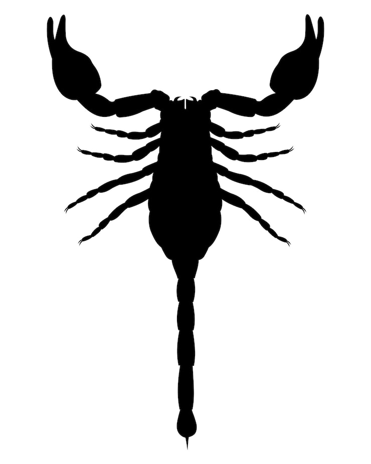 Vector icono de escorpión silueta negra aislada de escorpión