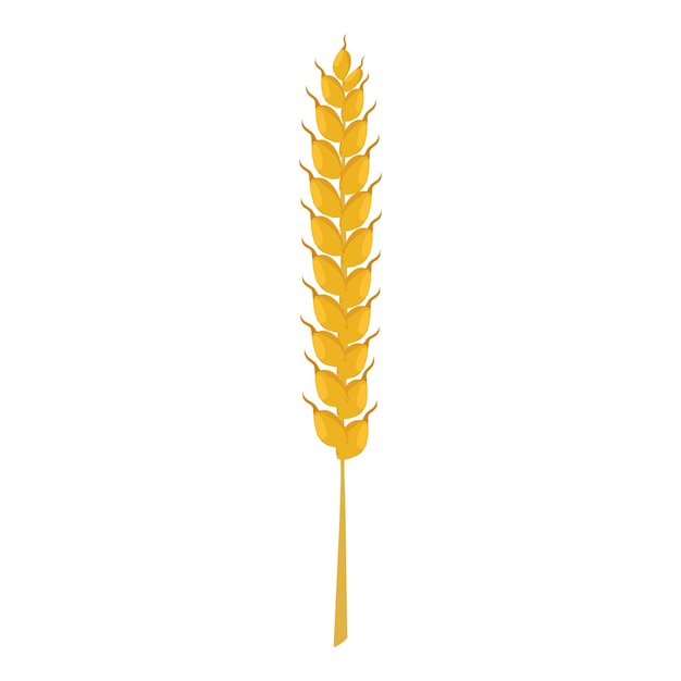 Icono de espiga de trigo Ilustración de dibujos animados de icono de vector de espiga de trigo para web