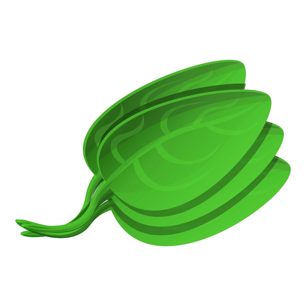 Vector icono de espinaca icono vectorial de spinaca para el diseño web aislado en fondo blanco