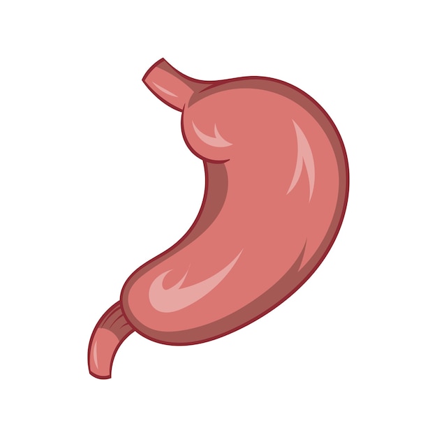 Icono de estómago en estilo de dibujos animados aislado en fondo blanco Símbolo de órganos humanos