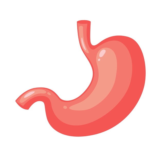 icono de estómago de la plantilla de vector de diseño de estilo de color.