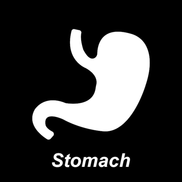 El icono del estómago