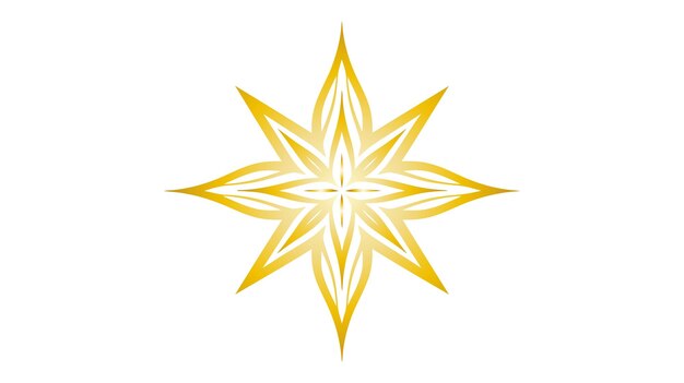Icono de la estrella Ilustración vectorial aislada sobre fondo blanco