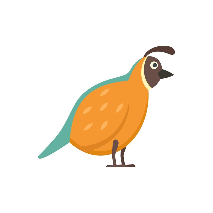 Vector icono de fauna de codornices ilustración plana del icono de vector de fauna de codornices aislado sobre fondo blanco