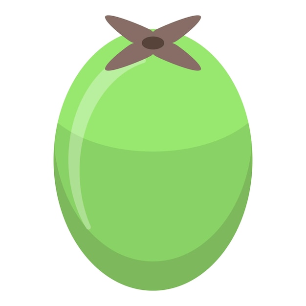 Icono de feijoa entera Isométrica de icono de vector de feijoa entera para diseño web aislado sobre fondo blanco