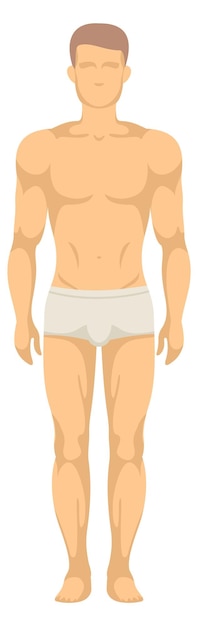Vector icono de figura masculina vista frontal del cuerpo humano
