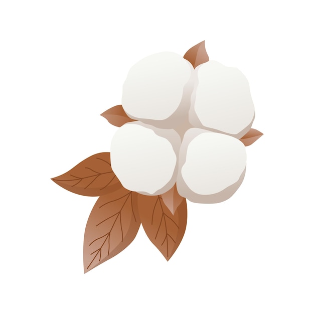 Icono de flor de algodón Planta blanca suave para la producción de tela orgánica Símbolo ecológico y orgánico de dibujos animados