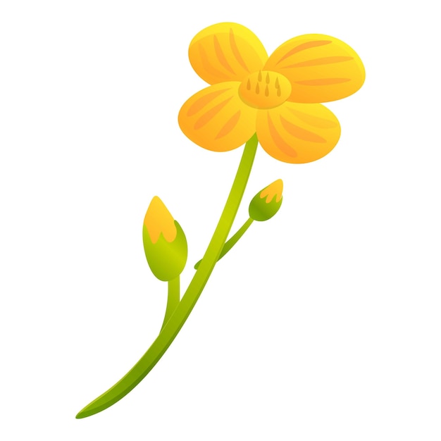 Vector icono de flor amarilla de canola caricatura de icono de vector de flor amarilla de canola para diseño web aislado sobre fondo blanco