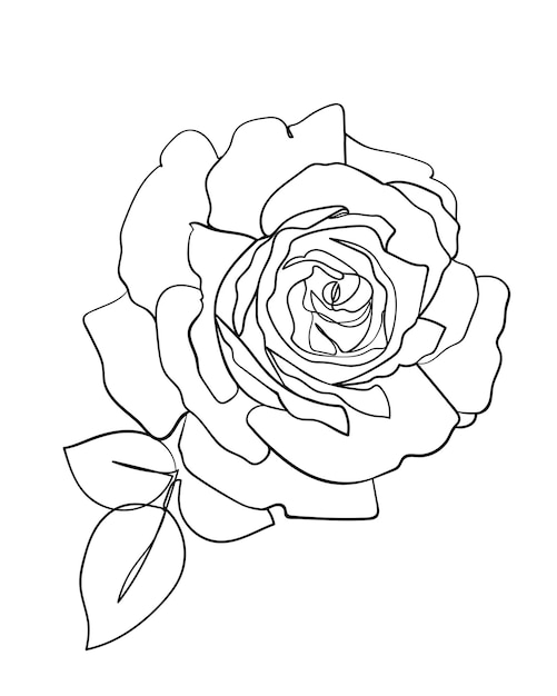 Icono de flor color de rosa. Dibujo lineal. - ilustración vectorial