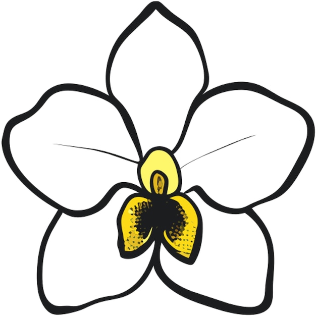 el icono de la flor de la orquídea relleno de garabateo