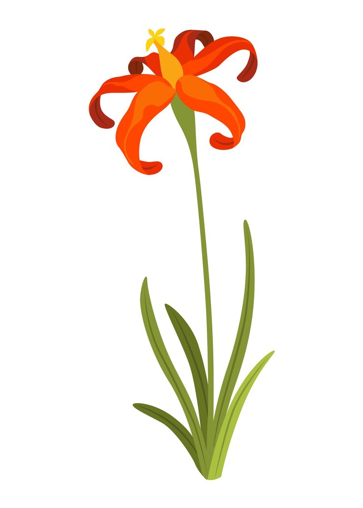 Vector icono de flor de primavera elemento floral en símbolo de acuarela para diseñar tarjetas de felicitación o invitaciones