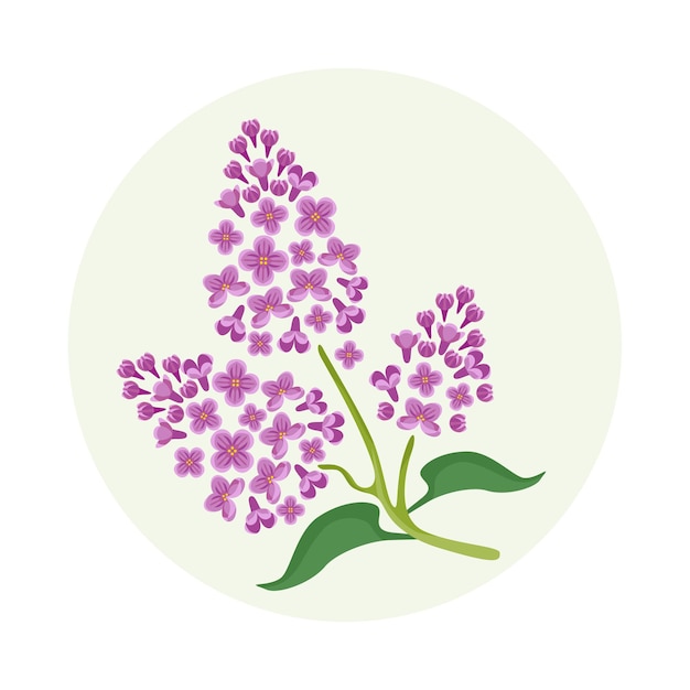 Icono de las flores de lila en flor de vector