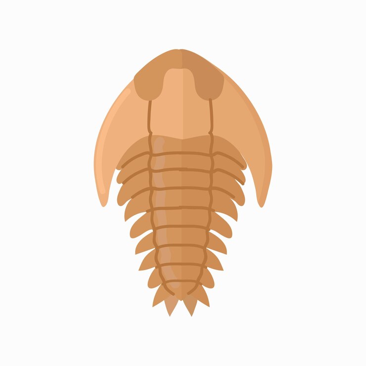 Vector el icono de fósil de trilobita, el clipart, el avatar, el logotipo, la ilustración vectorial aislada